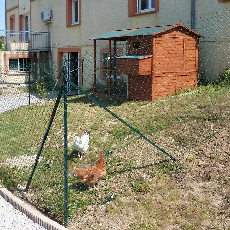 Casa de hóspedes Des Camparros